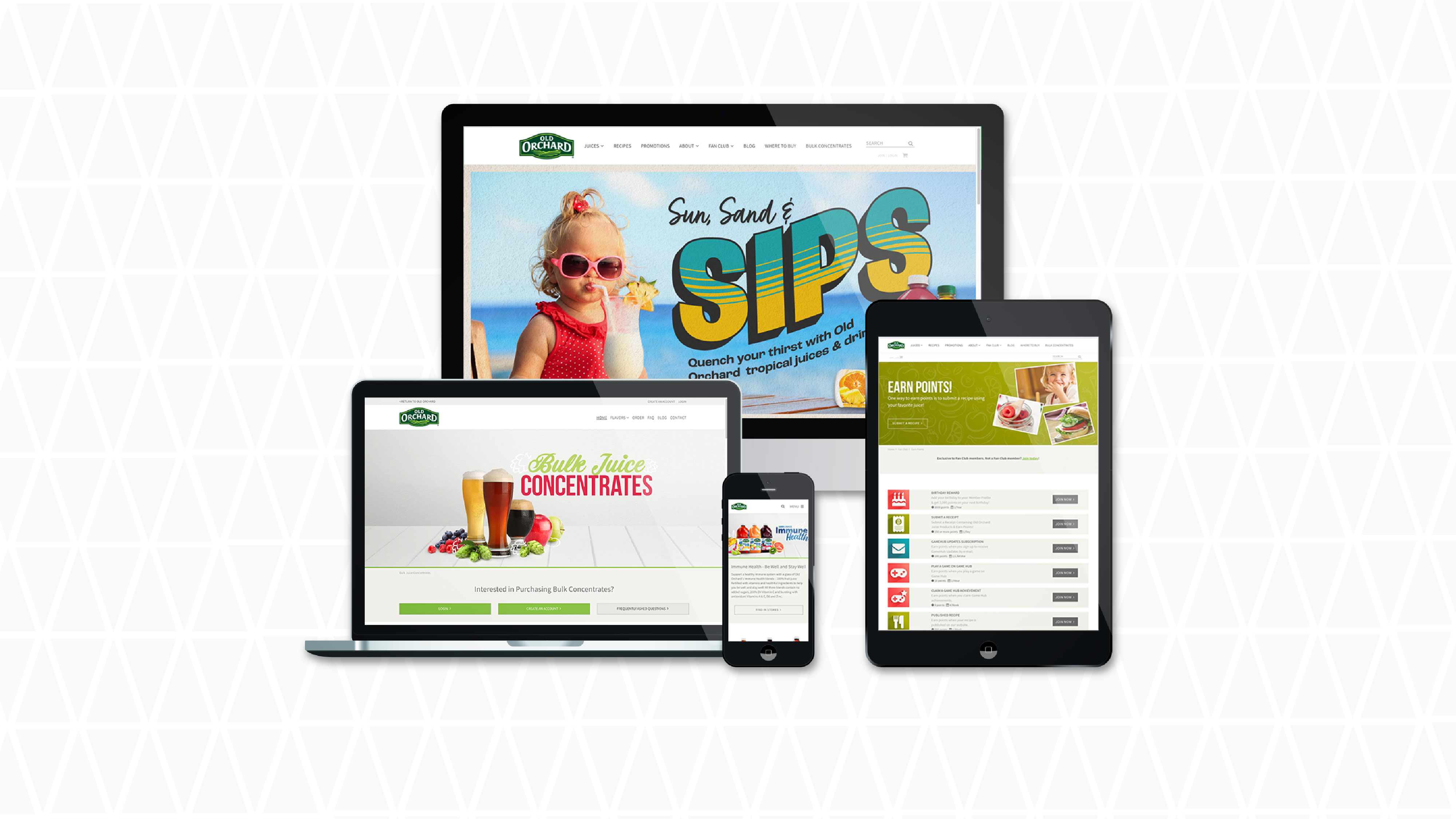 homepage hero image written and designed by LEAD Marketing Agency for Old Orchard Brands