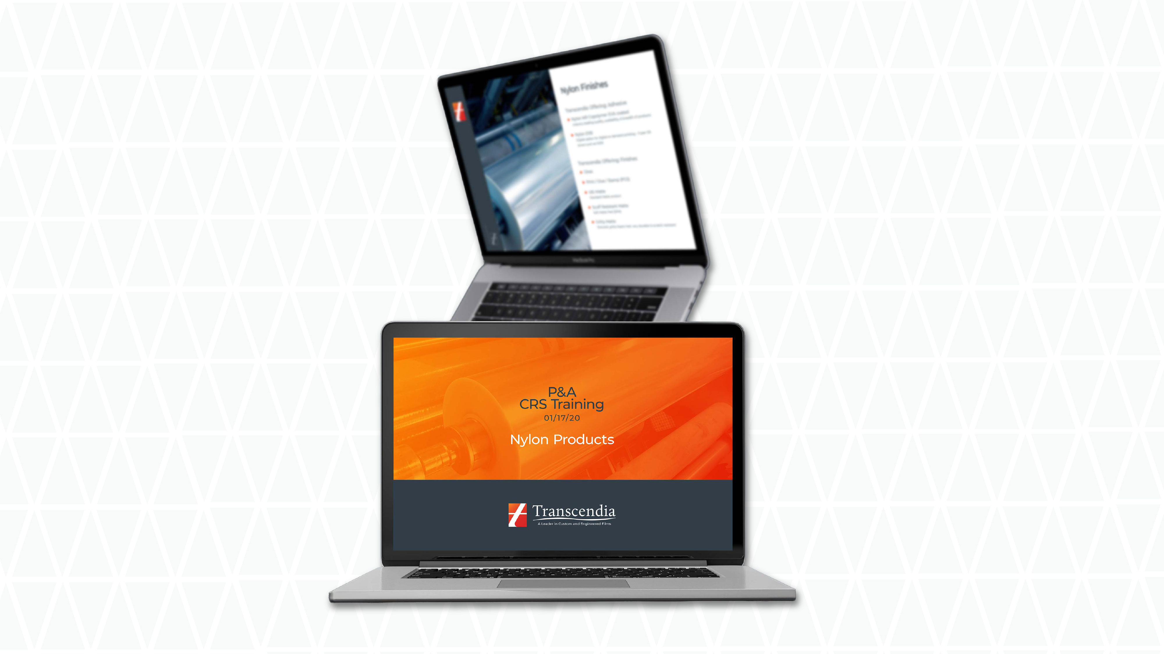 Website designed by LEAD Marketing for Transcendia